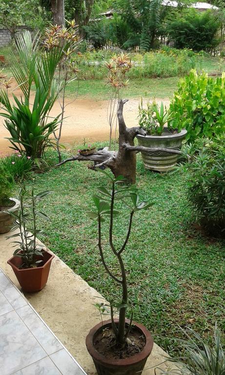 Sigiri Leisure Holiday Home Sigiriya Exteriér fotografie