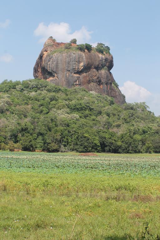 Sigiri Leisure Holiday Home Sigiriya Exteriér fotografie